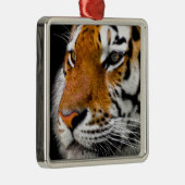 Tiger Ornament Aus Metall (Rechts)
