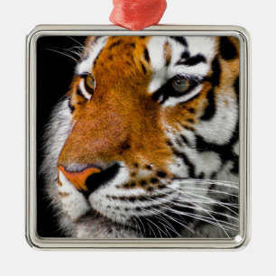Tiger Ornament Aus Metall