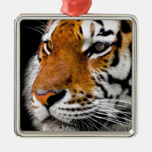 Tiger Ornament Aus Metall (Vorne)
