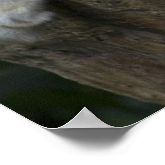 Tiger-Paar Poster (Ecke)