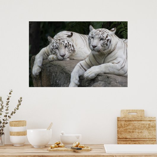 Tiger-Paar Poster (Küche)