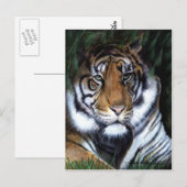 Tiger Painting Postcard Postkarte (Vorne/Hinten)