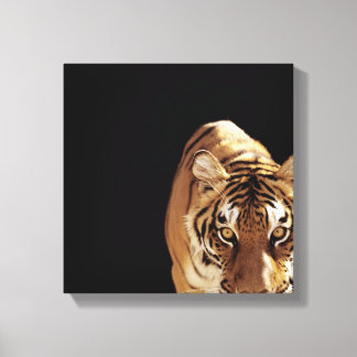 Tiger (Panther tigris) Leinwanddruck