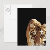 Tiger (Panther tigris) Postkarte (Vorne/Hinten)
