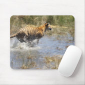 Tiger (Panthera tigris), der durch Wasser läuft. Mousepad (Mit Mouse)