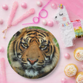 Tiger-PapierTeller Pappteller (Party)