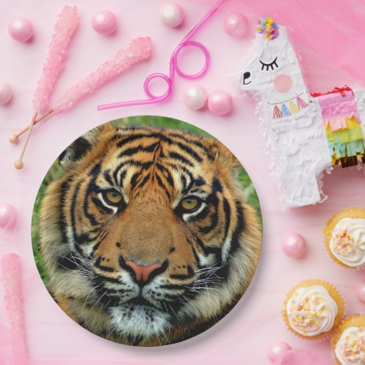 Tiger-PapierTeller Pappteller (Party)