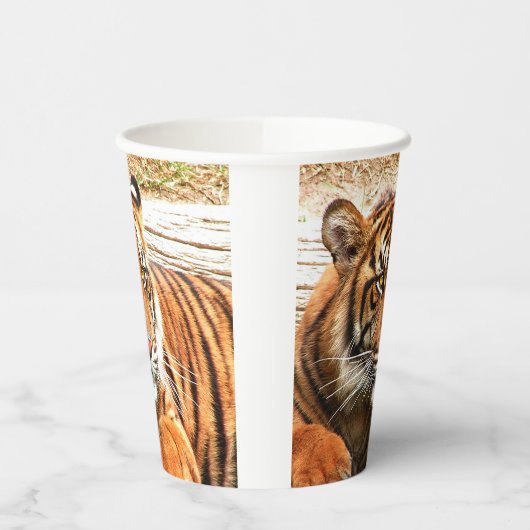 Tiger Pappbecher (Links)