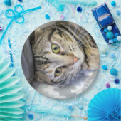 Tiger Pappteller (Party)