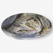 Tiger Pappteller (Schrägansicht)