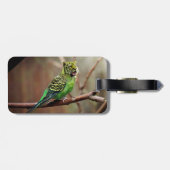 Tiger Parakeet Gepäckanhänger (Rückseite horizontal)