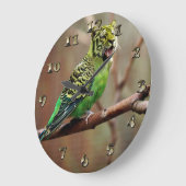 Tiger Parakeet Große Wanduhr (Winkel)