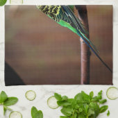 Tiger Parakeet Küchentuch (Gefaltet)