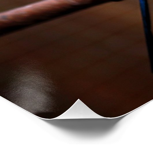 Tiger Parakeet Poster (Ecke)