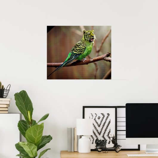 Tiger Parakeet Poster (Heimbüro)