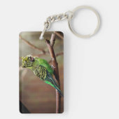 Tiger Parakeet Schlüsselanhänger (Rückseite)