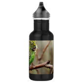 Tiger Parakeet Trinkflasche (Rechts)