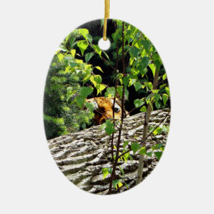 Tiger Peek-a-boo Ornamnet Keramikornament