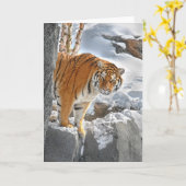 Tiger Peek Karte (Gelbe Blume)