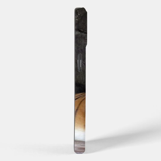 Tiger Phone Case (Rückseite / Rechts)