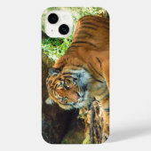 Tiger Phone Case iPhone Hülle (Rückseite)