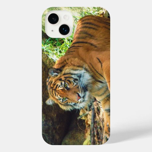 Tiger Phone Case iPhone Hülle (Rückseite)