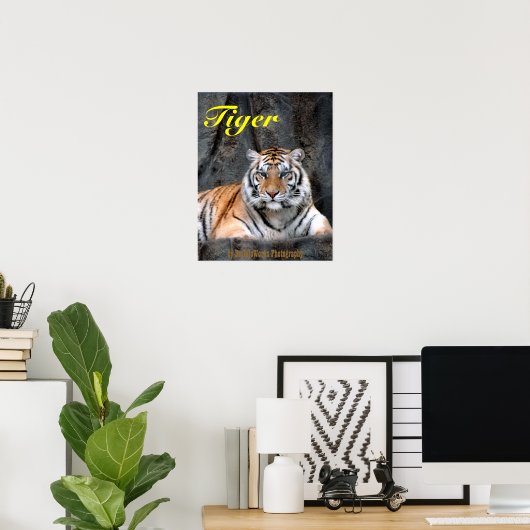 Tiger-Plakat Poster (Heimbüro)