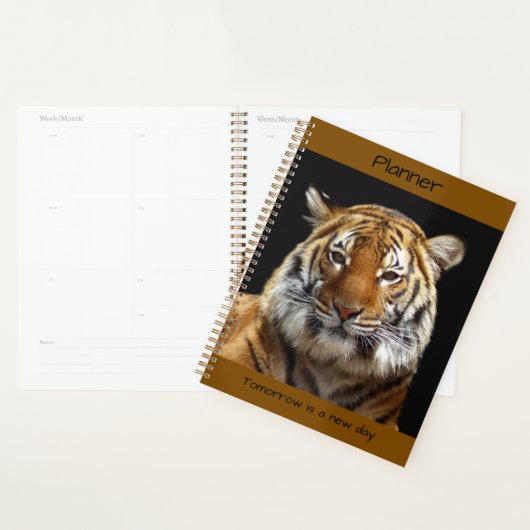 Tiger Planer (Anzeige)