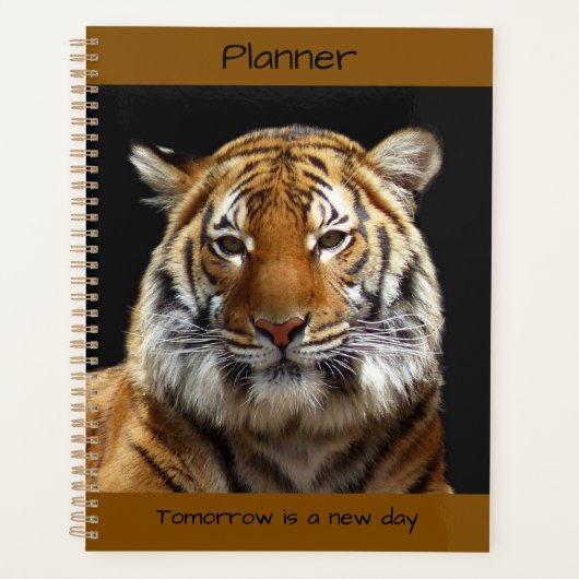 Tiger Planer (Vorderseite)