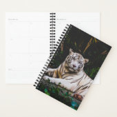 Tiger Planer (Anzeige)