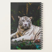 Tiger Planer (Rückseite)