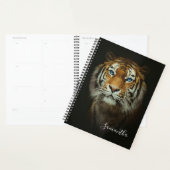 Tiger Planer (Anzeige)