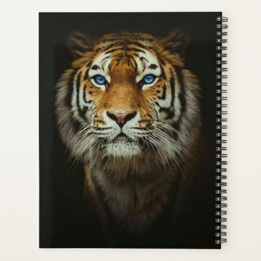 Tiger Planer (Rückseite)