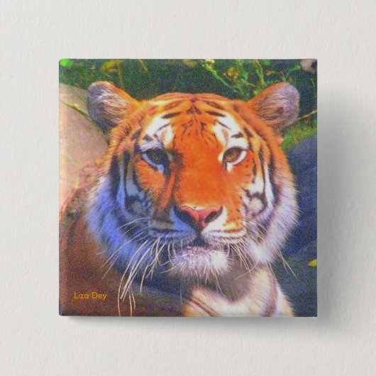 Tiger-Platz-Knopf Button (Vorderseite)