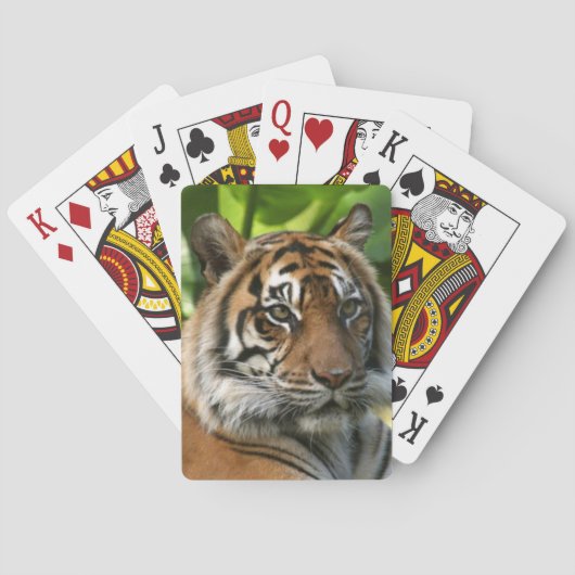 Tiger Playing Cards Spielkarten (Rückseite)