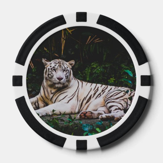 Tiger Pokerchips (Vorderseite)