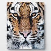 Tiger-Portrait im Grafikstil Fotoplatte (Vorderseite)