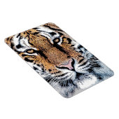 Tiger-Portrait im Grafikstil Magnet (Rechte Seite)