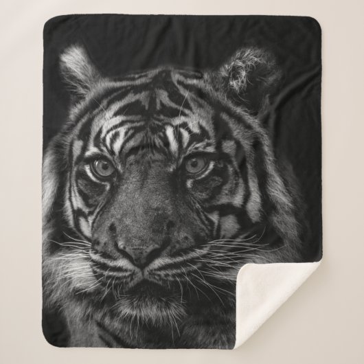 TIGER PORTRAIT IN BW SHERPADECKE (Vorderseite)