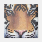 Tiger Portrait Magnet (Vorne)
