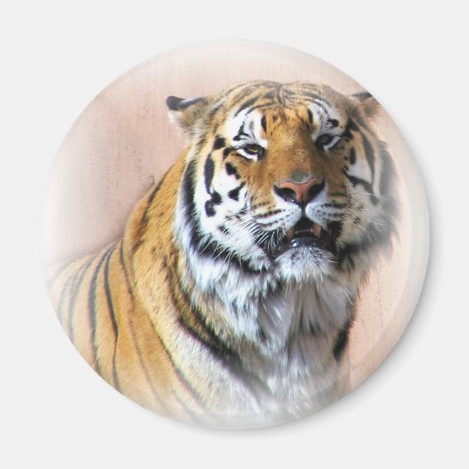 Tiger-Portrait Magnet (Vorne)