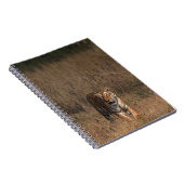 TIGER PORTRAIT NOTIZBLOCK (Rechte Seite)
