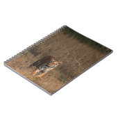 TIGER PORTRAIT NOTIZBLOCK (Linke Seite)