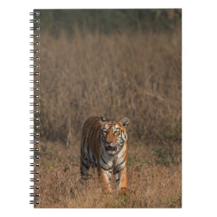 TIGER PORTRAIT NOTIZBLOCK