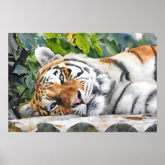 Tiger-Portrait Poster (Vorne)