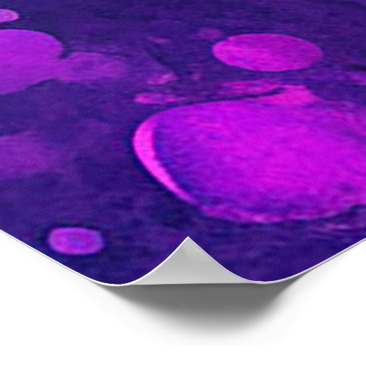 Tiger-Portrait Poster (Ecke)