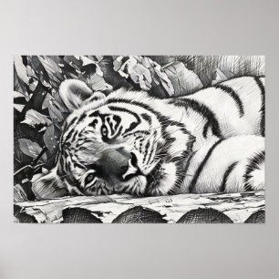 Tiger-Portrait Poster