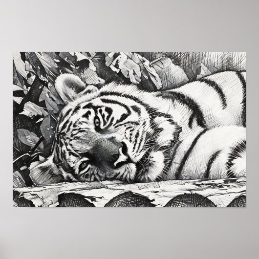 Tiger-Portrait Poster (Vorne)