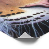 Tiger Portrait Poster (Ecke)