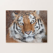 Tiger Portrait Puzzle (Horizontal)